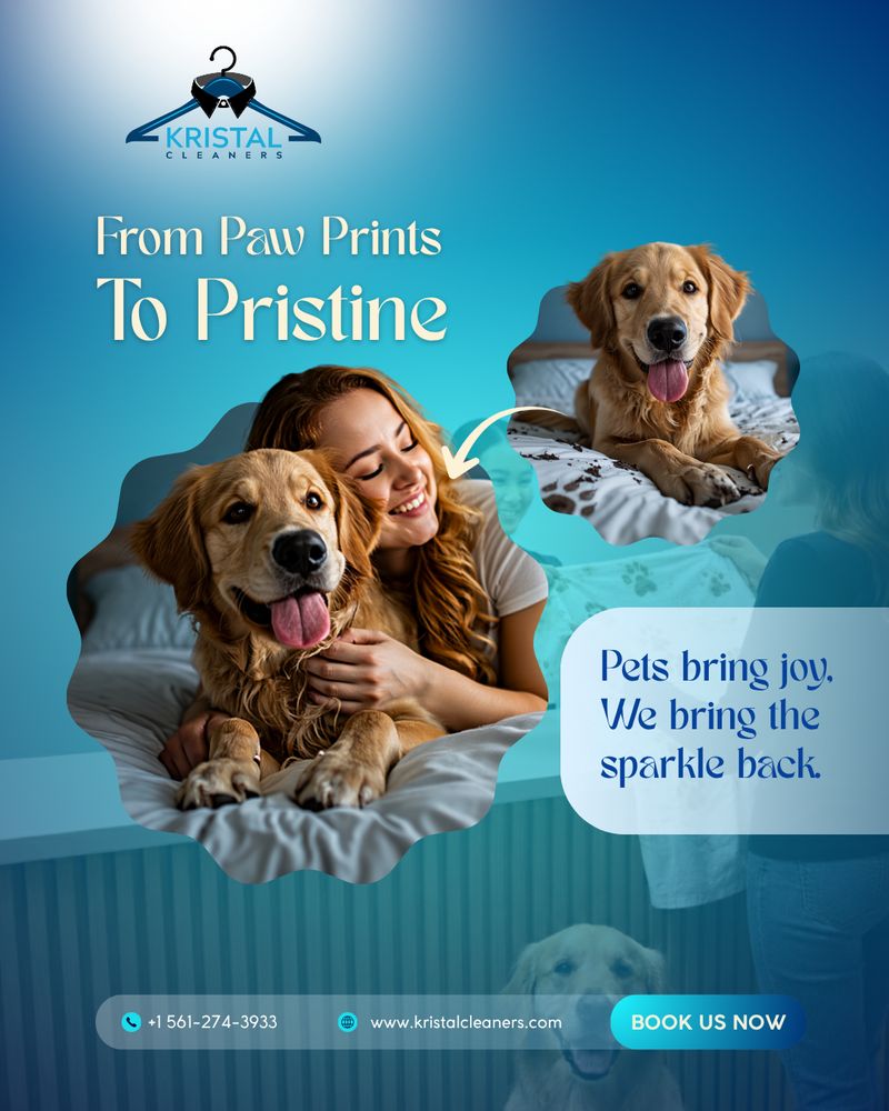 Instagram post for Kristal Cleaners high-end cleaning service, featuring joyful golden retriever with owner on a freshly cleaned bed, vibrant blue gradient background, playful text “From Paw Prints to Pristine” and “Pets bring joy. We bring the sparkle back.”, contact info, and “Book Us Now” button; created by Draftss, unlimited Instagram design, pet-friendly home cleaning promotion example, unlimited graphic designs, draftss, draftss portfolio