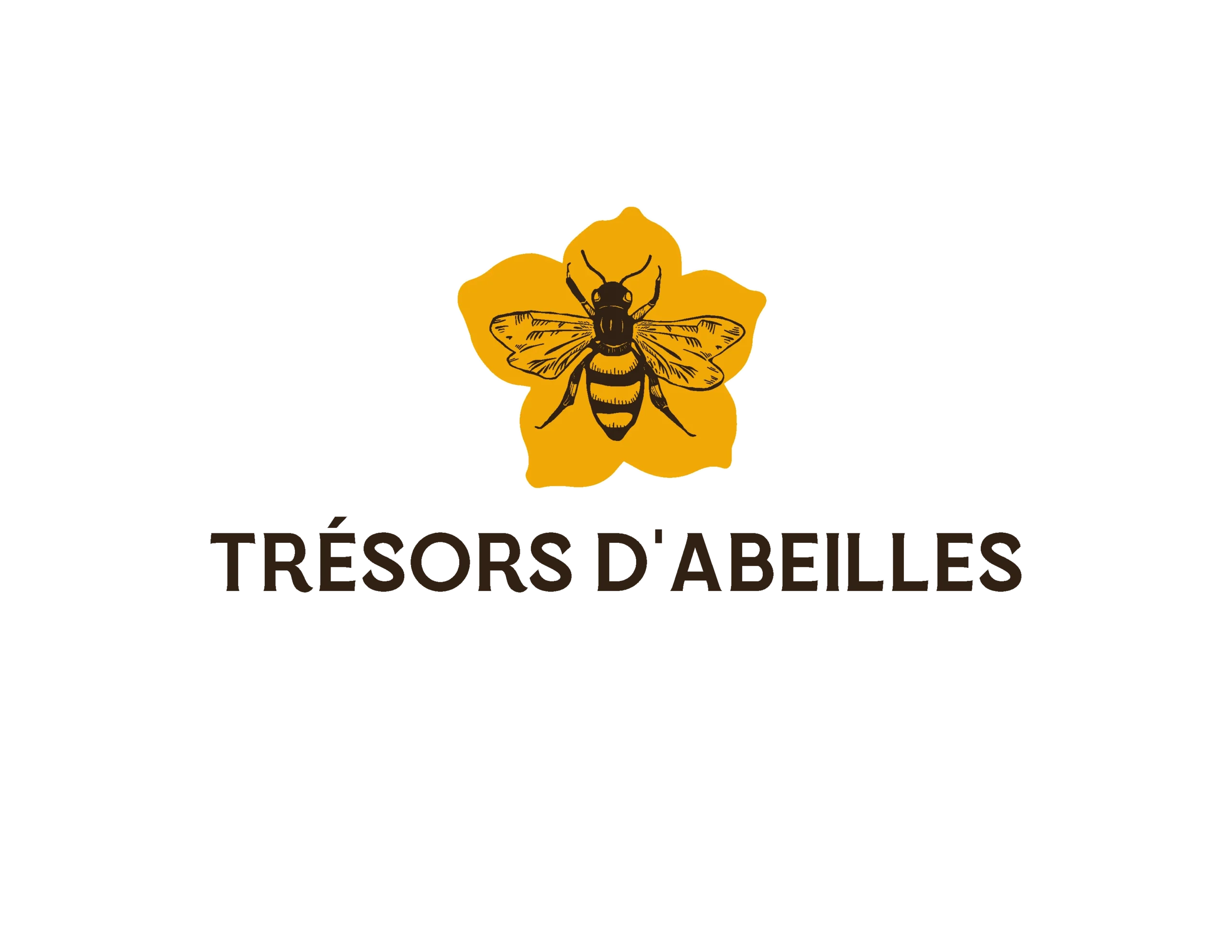 Logo design for Trésors d’Abeilles, French honey company, featuring a detailed bee illustration on a yellow flower, elegant brown typography, created by Draftss, unlimited logo design, artisanal honey brand logo example, unlimited graphic designs, draftss, draftss portfolio
